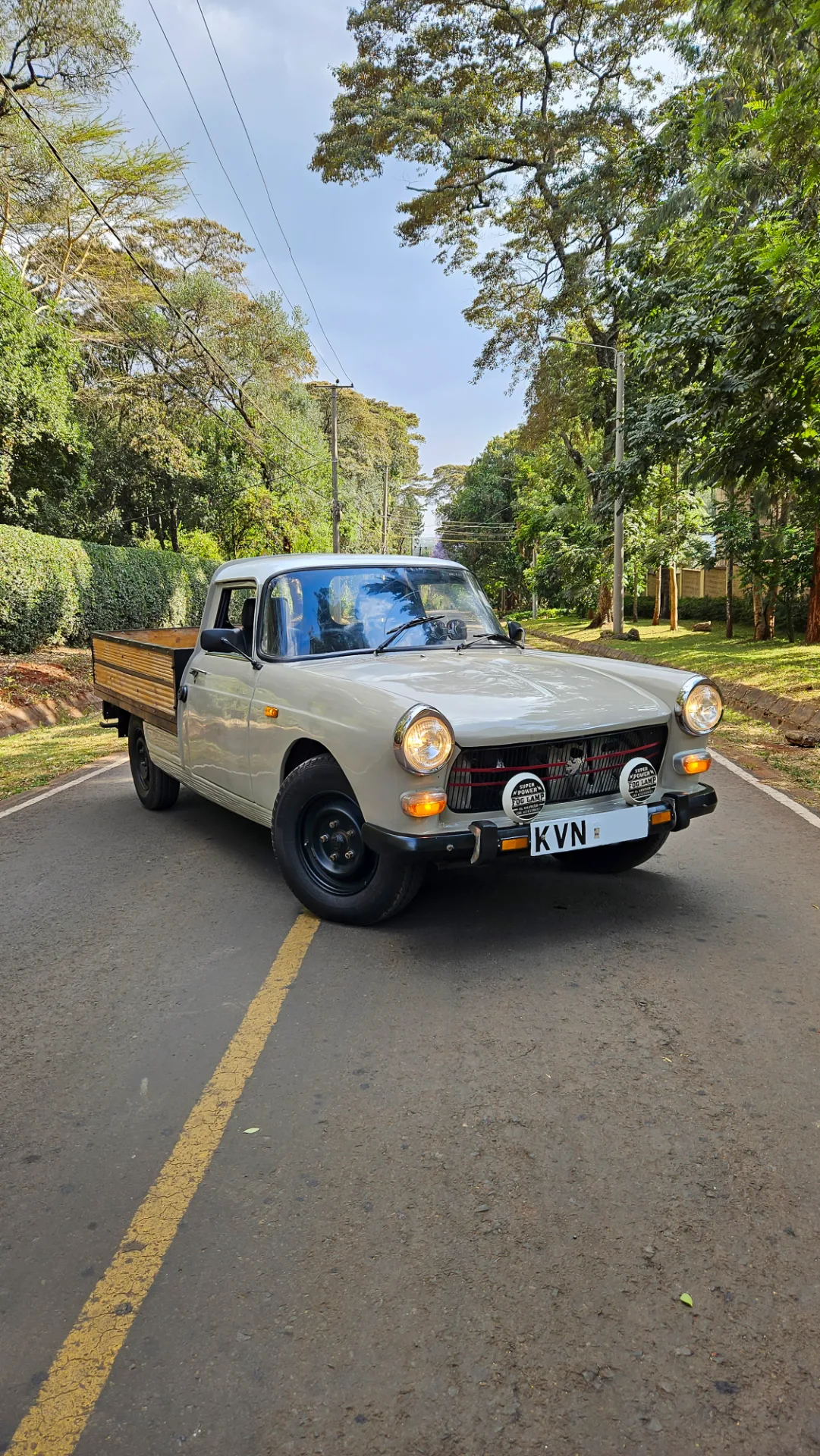 Peugeot 404 Pick-Up